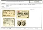 Karteikarte zum Holotyp von Polymorphina asperella Karrer, 1877